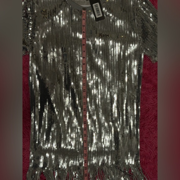 KATE HEWKO Silver Sequin Fringe Short Sleeve Dress - Picture 4 of 5